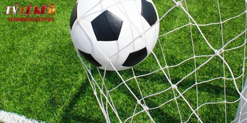 Thầu Bóng Đá Là Gì