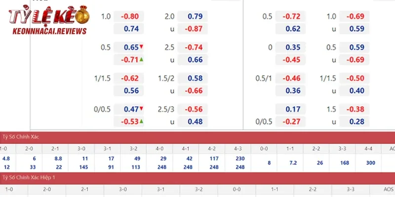 Trang web cập nhật tỷ lệ cược linh hoạt